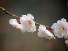 -北京明城墙遗址公园
