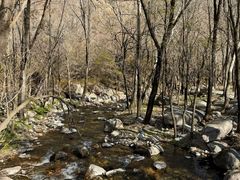 -玉渡山自然风景区