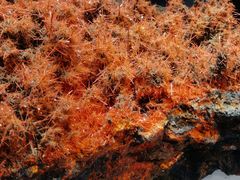 -湖南省地质博物馆