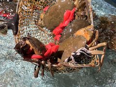 -曼格纳·曼芯馆(杨浦店)