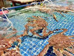 -三亚火车头万人海鲜广场