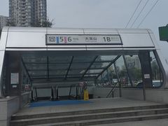 -大龙山(地铁站)