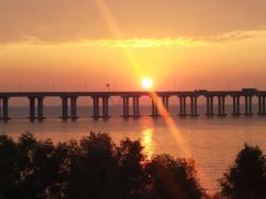 -宝安西湾红树林湿地公园