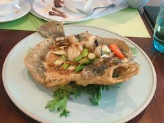 -花园5號餐厅
