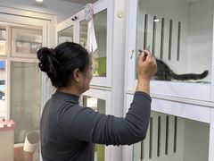 -青奢宠物·青奢猫舍