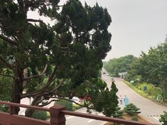 -上海市保健医疗中心