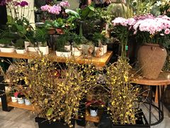 -鲜果壹号(旺墩店)