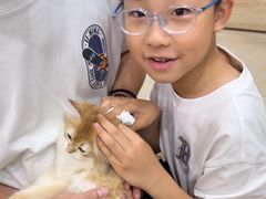 -艾贝尔宠物医院·狂犬免疫点(江山金象城店)
