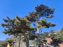 -妙峰山风景名胜区