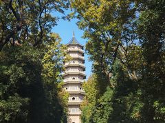 -灵谷景区