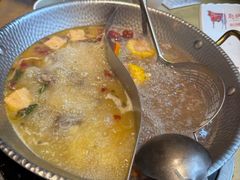 -手选潮汕鲜活牛肉火锅(二七广场店)