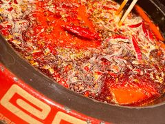 -蜀辣居鲜货老火锅(双流万达店)