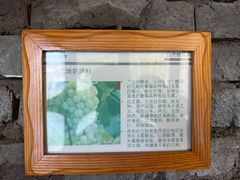 -北京张裕爱斐堡酒庄