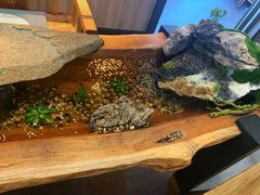 -乜都得港式茶楼(天贵路店)