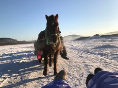 -北极村旅游风景区