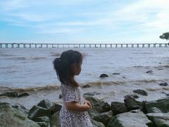 -宝安西湾红树林湿地公园