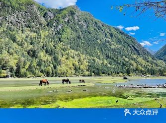 中秋自驾游 荷花海 蓝天白云