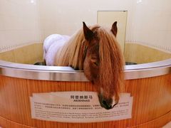 -海澜飞马水城