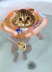 -弗蕾亚·和月月子调理院(东湖店)