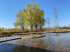 -永定河休闲森林公园