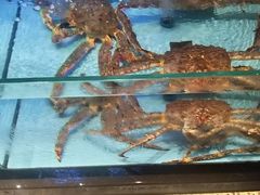-阿伟海鲜楼·福建菜(延寿店)
