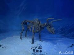 -吉林省自然博物馆