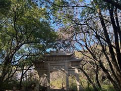 -灵岩山风景区