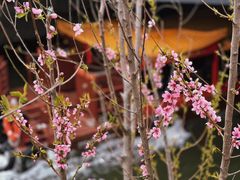 -北京艺术博物馆(万寿寺)