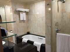Toilet-新加坡文华东方酒店