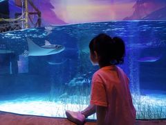 -沈阳海洋探索中心