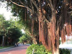 -南宁南湖公园