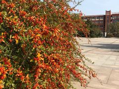 -山东科技大学（青岛校区）-图书馆