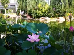 -北京国家会计学院