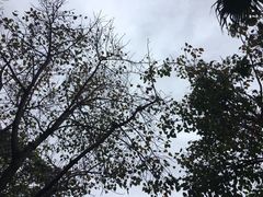 -安溪清水岩