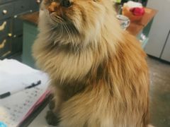 -小时光咖啡馆(北锣鼓巷店)