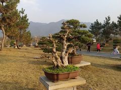 -炎帝陵景区