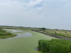 -宁波杭州湾国家湿地公园