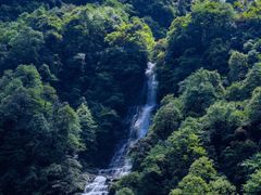 -瓦屋山景区