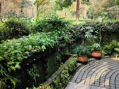 -野蔓果·山野菜(西湖景区·龙井茶田店)