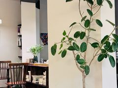 -COTTON CAFE(德信·中外公寓店)