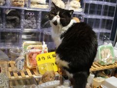 -平行世界·猫咖(首经贸店)