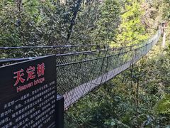 -云南屏边大围山国家公园