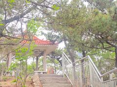 -北岭山森林公园