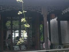 -秦园惠山豆腐花(惠山古镇店)
