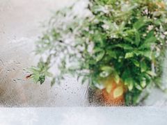 -DEEP COFFEE(瑞光烘焙工厂店)