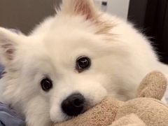 -王二甩老木子鸡(江湾店)