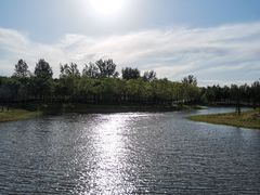 -东郊湿地公园