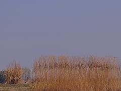 -良渚古城遗址公园