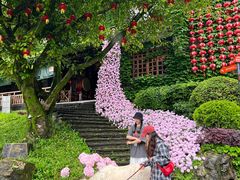 -巴倒烫陆派火锅山庄(南山总店)