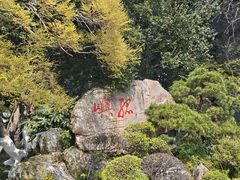 -江心屿景区